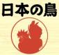 MERZBOW