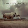 NEWCOMER CARRIE NEWCOMER CARRIE