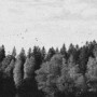 OCTOBER FALLS