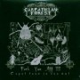 CARPATHIAN FOREST
