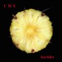 CMX