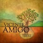 AMIGO VICENTE