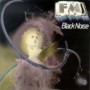 FM