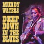 WATERS MUDDY WATERS MUDDY