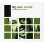 TURNER BIG JOE