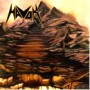 HAVOK