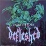 DEFLESHED