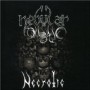 NEBULAR MYSTIC NEBULAR MYSTIC