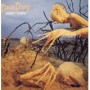 DIXIE DREGS