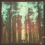 FOSSIL COLLECTIVE FOSSIL COLLECTIVE