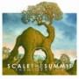SCALE THE SUMMIT