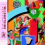 WILD NOTHING WILD NOTHING