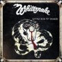WHITESNAKE WHITESNAKE