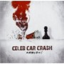 CELEB CAR CRASH