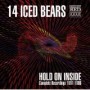 14 ICED BEARS