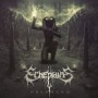 ECNEPHIAS