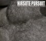 HIRSUTE PURSUIT HIRSUTE PURSUIT