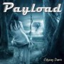 PAYLOAD PAYLOAD