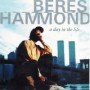 HAMMOND BERES HAMMOND BERES