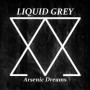 LIQUID GREY