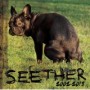 SEETHER