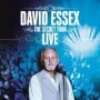 ESSEX DAVID