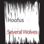 HOOFUS HOOFUS