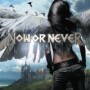 NOW OR NEVER NOW OR NEVER