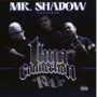 MR. SHADOW