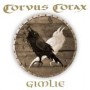 CORVUS CORAX