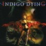 INDIGO DYING INDIGO DYING