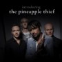 PINEAPPLE THIEF PINEAPPLE THIEF