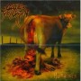 CATTLE DECAPITATION