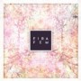 FIRA FEM