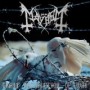 MAYHEM MAYHEM