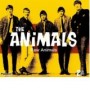 ANIMALS