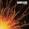 GODFLESH GODFLESH