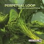PERPETUAL LOOP
