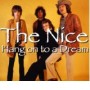 NICE NICE