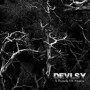 DEVLSY