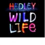 HEDLEY