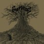 EXHUMATION