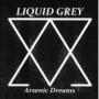 LIQUID GREY