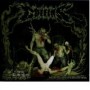 COFFINS