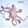 CLEPSYDRA