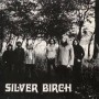 SILVER BIRCH