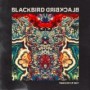 BLACKBIRD BLACKBIRD