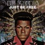 BIG FREEDIA BIG FREEDIA