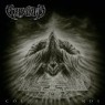 GORGUTS