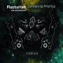 FLUCTURION & PSYBROTHERS